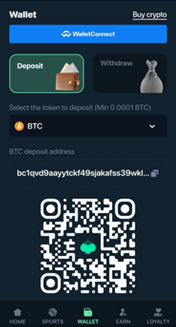 Mega Dice Payment Page