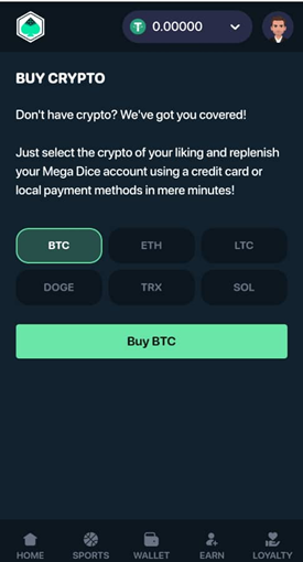 Mega Dice Payment Page 2