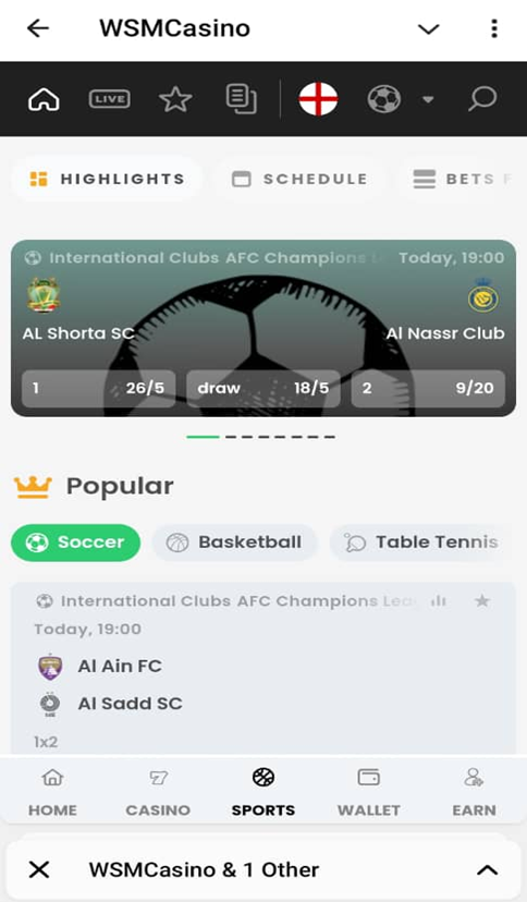 WSM Casino Sportsbook