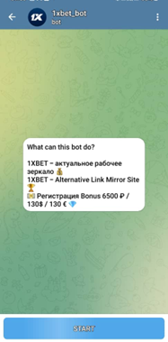 1XBet Bot Telegram Main Screen 3.0