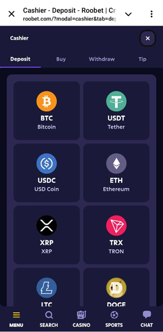  Roobet Casino Payment Page