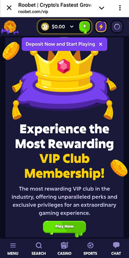 VIP Loyalty Club
